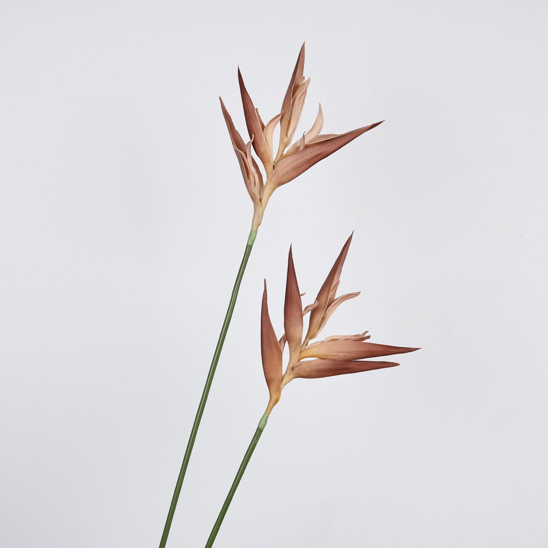 仿真鹤望兰火鹤天堂鸟仿真花假花婚庆摄影道具造景插花花材装饰花产品图