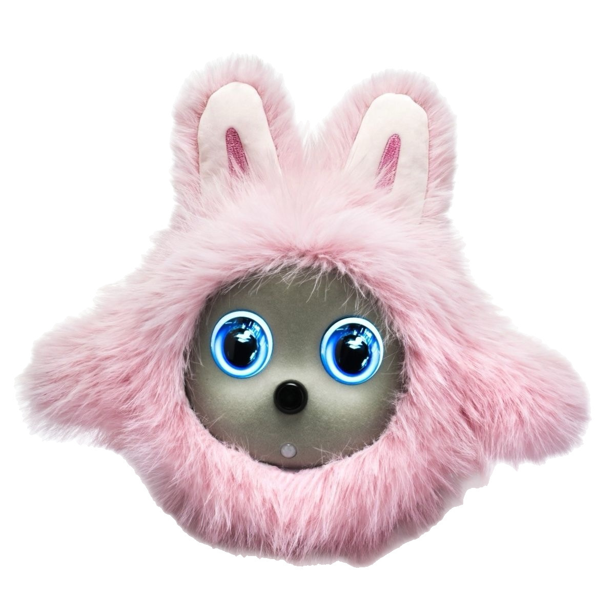 毛绒玩具/玩偶/潮流玩具/批发毛绒玩具/定制毛绒玩具白底实物图