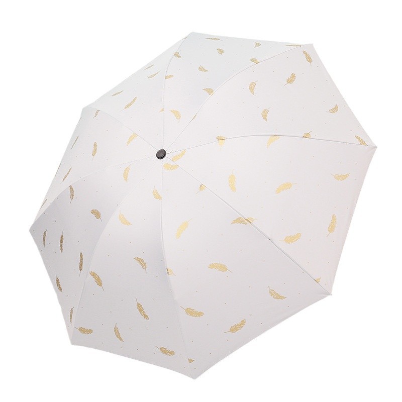 import白底实物图