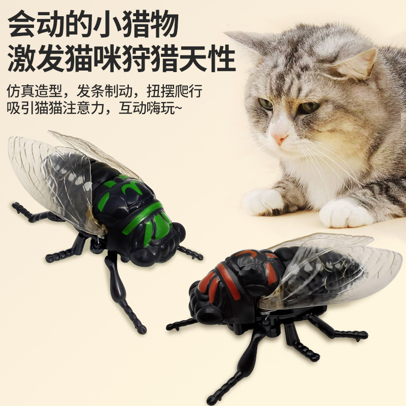 仿真昆虫实物图