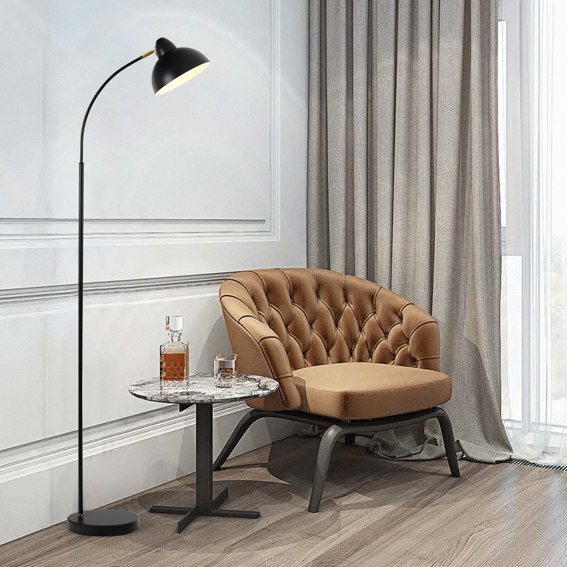 Simple American metal led floor lamp with replaceable bulbs, retro Nordic living room bedroom floor lamp for fishing Application Scenario