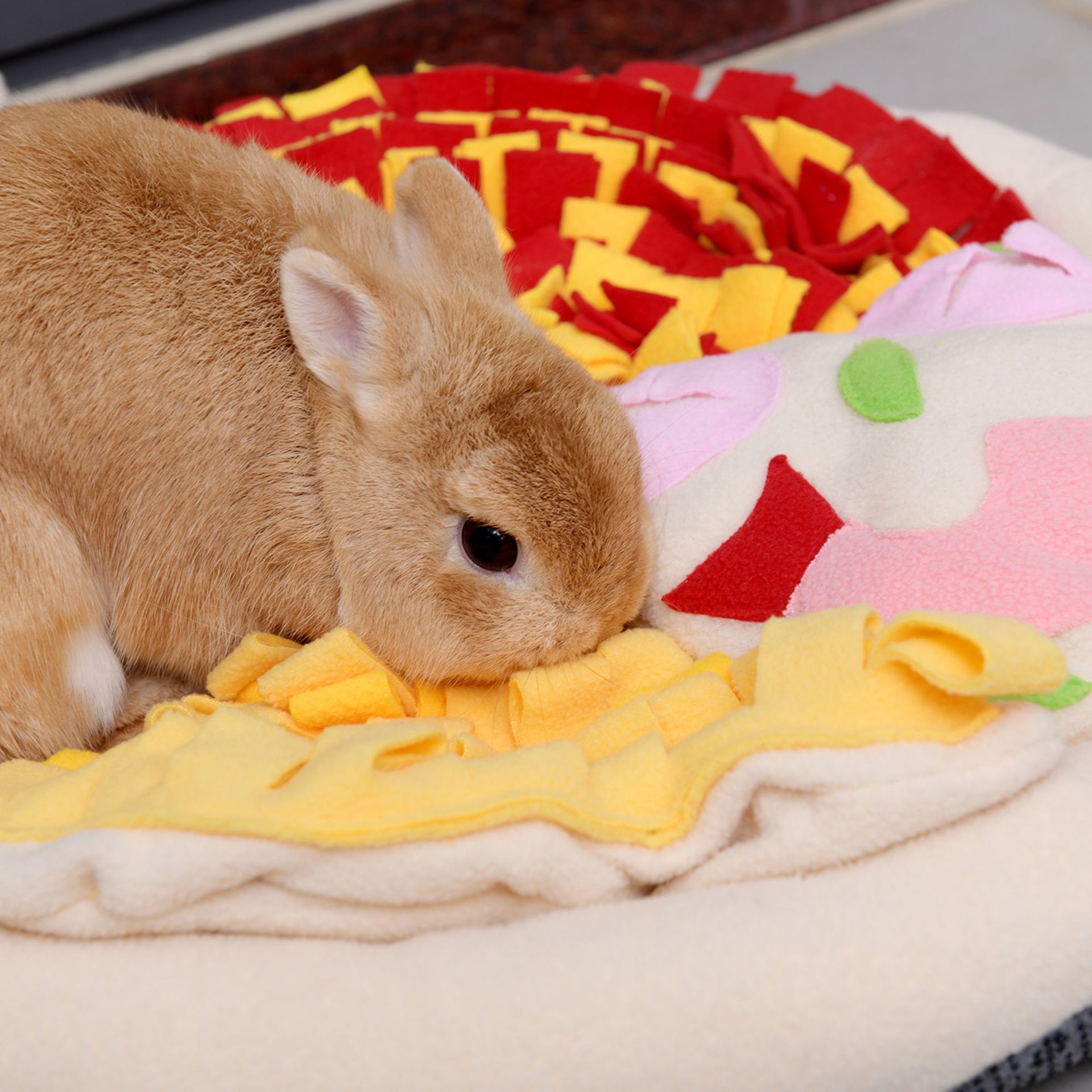 Rongka Pet Cross-border Colorful Theme Series Food Pizza Pet Sniffing Pads Expending Dog Energy Hiding Pads Dog Toys Application Scenario