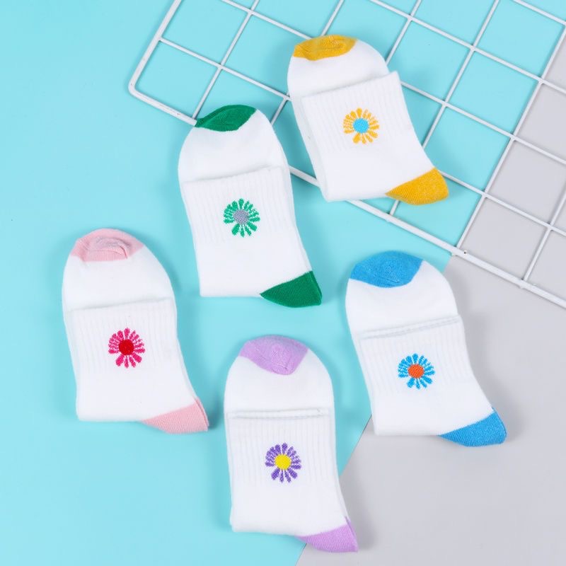 Factory wholesale socks for women, summer mesh socks, breathable short women's socks, short Korean version sports socks for women Application Scenario