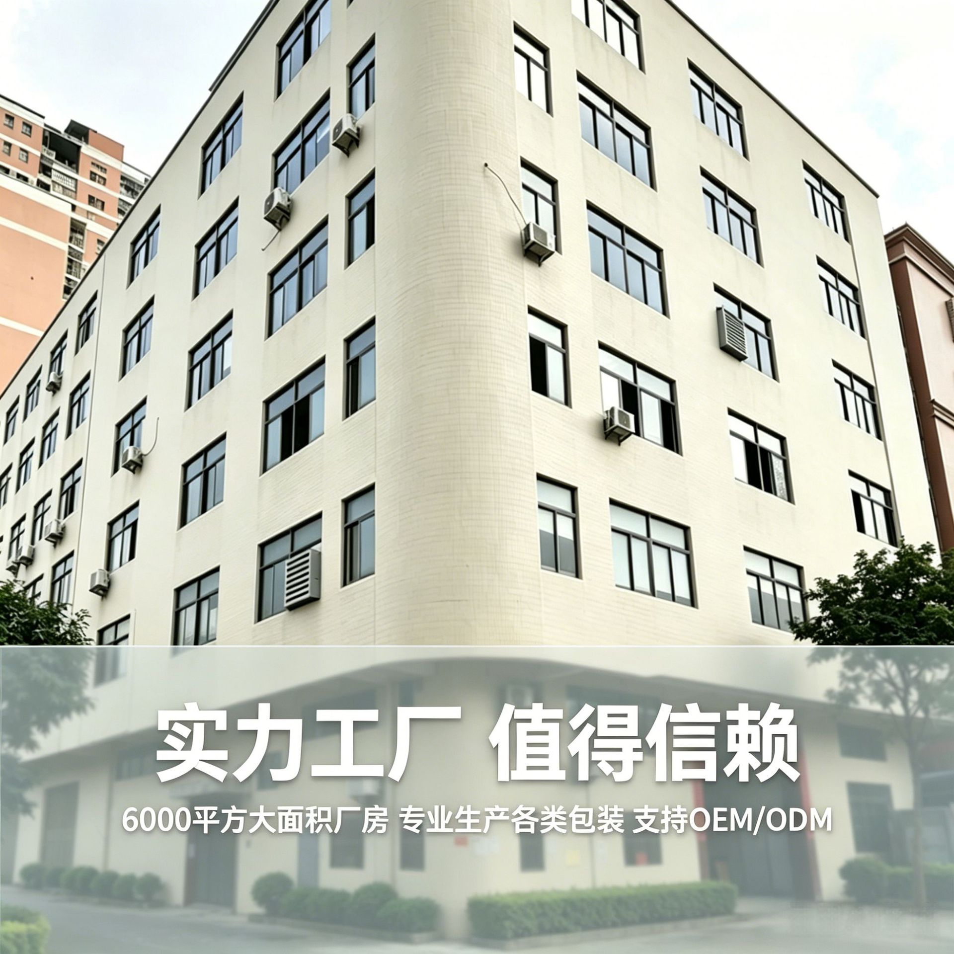 一次性蛋糕打包盒包装盒pet透明礼品盒食品包装长方形食品级盒子 details Picture