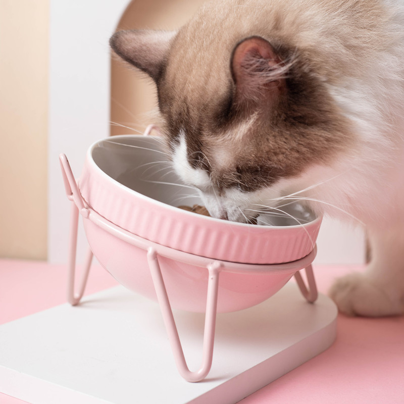 宠物用品/猫碗/宠物碗/宠物自动喂食器/智能宠物用品细节图