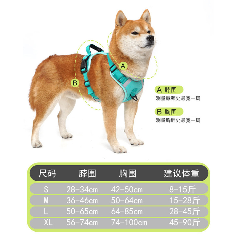 宠物伸缩带/狗绳/宠物胸背/遛狗绳/牵引绳狗绳产品图