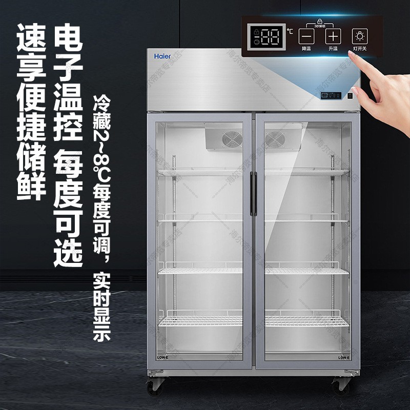 Haier glass door double-door freezer, commercial stainless steel refrigerated display cabinet, canteen, hotel, restaurant and kitchen fresh-keeping cabinet details Picture
