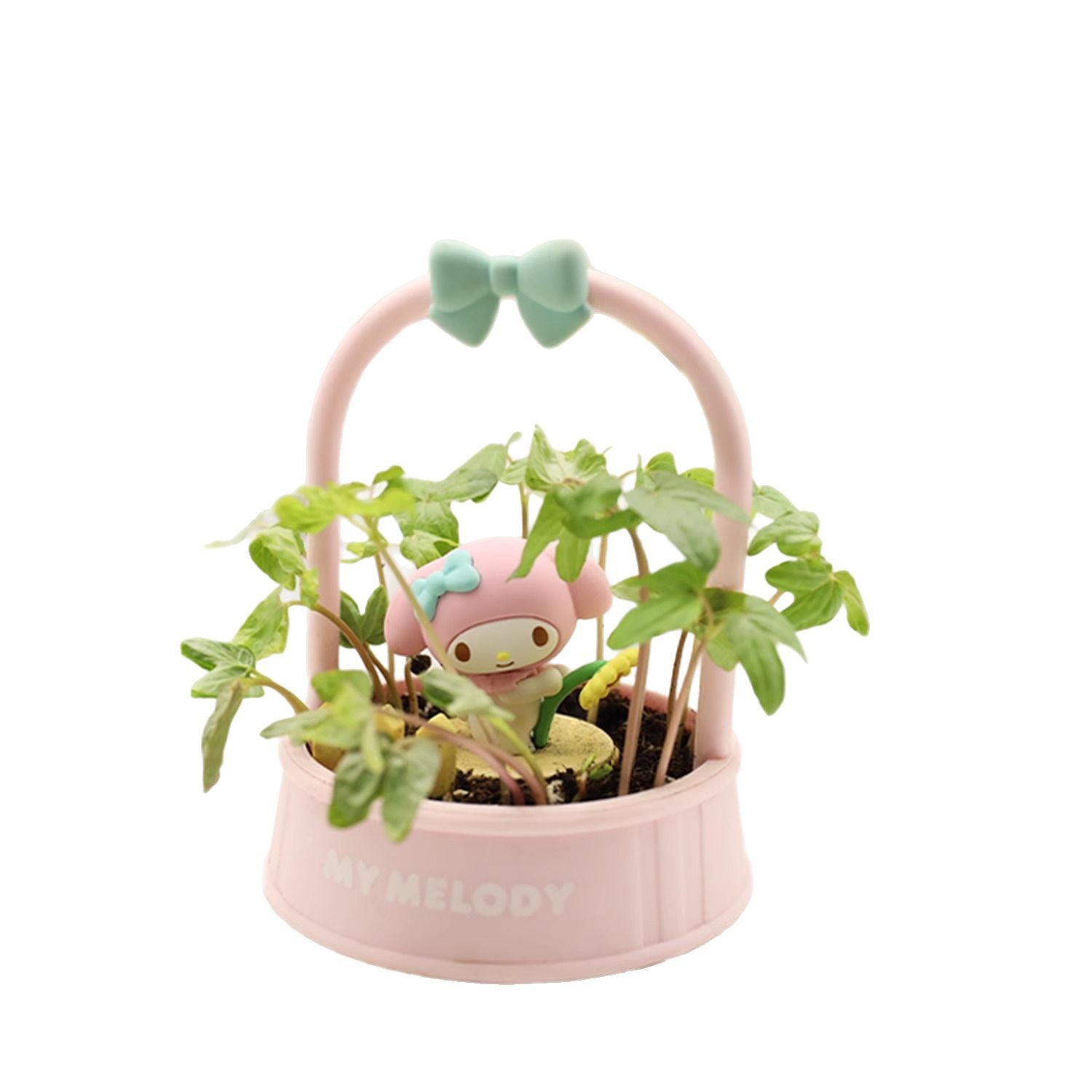 正版三丽鸥午后花园系列diy儿童种植摆件凯蒂猫小盆栽大耳狗批发白底实物图
