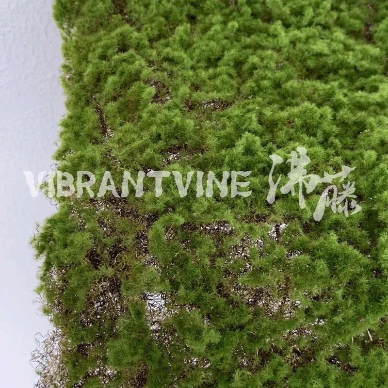 仿真植物实物图