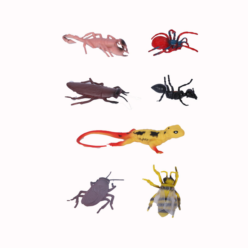 动植物/仿真模型实物图