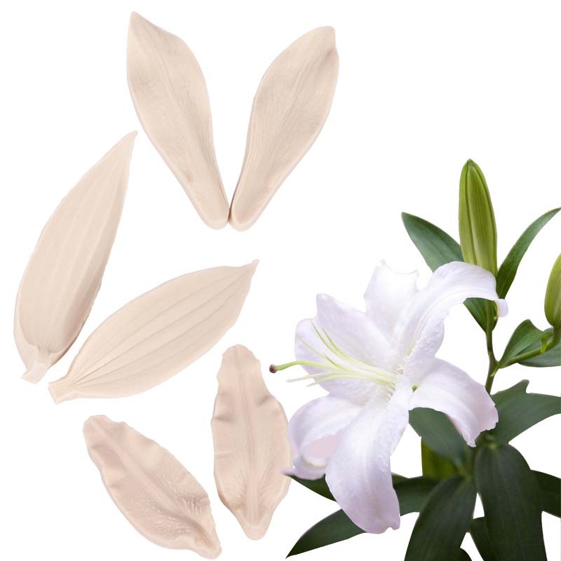 硅胶模具百合花花瓣叶子翻糖模具纹理印花蛋糕模具DIY西点烘焙