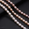 Natural freshwater pearl rice-shaped pearl DIY jewelry accessories, handcrafted jewelry necklaces production and wholesale details Picture