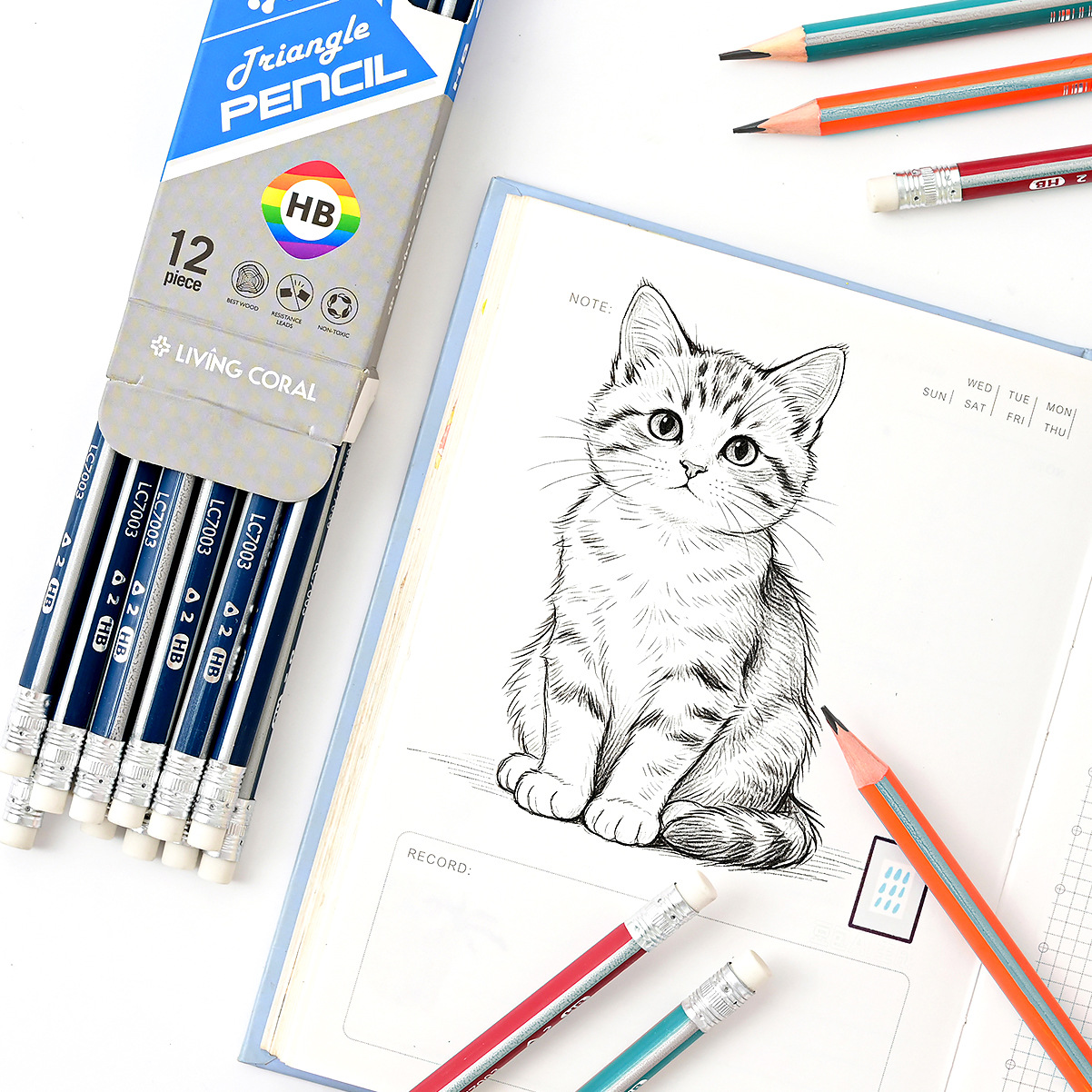 Estudiante 12 caja triangular mate tira de dibujo lápiz hb niños cinta de escritura goma triangular barra de aprendizaje papelería Application Scenario