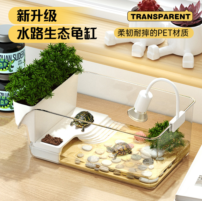 宠物虾、观赏虾实物图