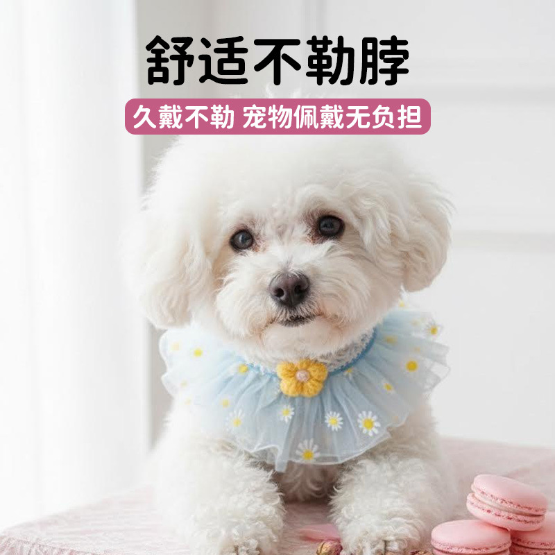 A collection of best-selling pet products, including cute cat and dog collars, exquisite bows, and comfortable scarves. Factory direct sales details Picture
