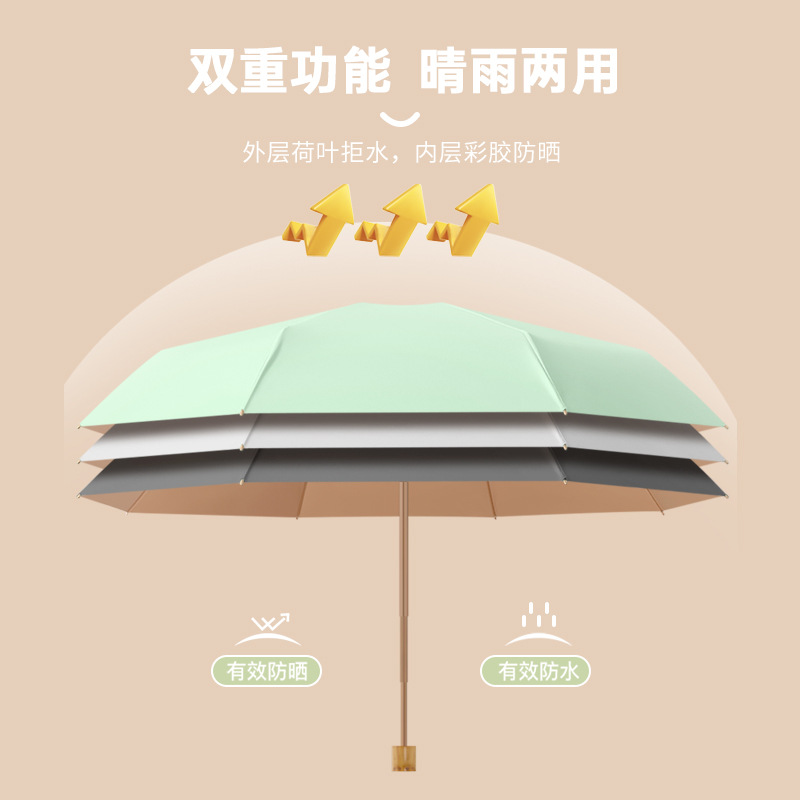 雨伞/遇水变色伞/大雨伞防晒/雨伞太阳伞/一次性雨伞白底实物图
