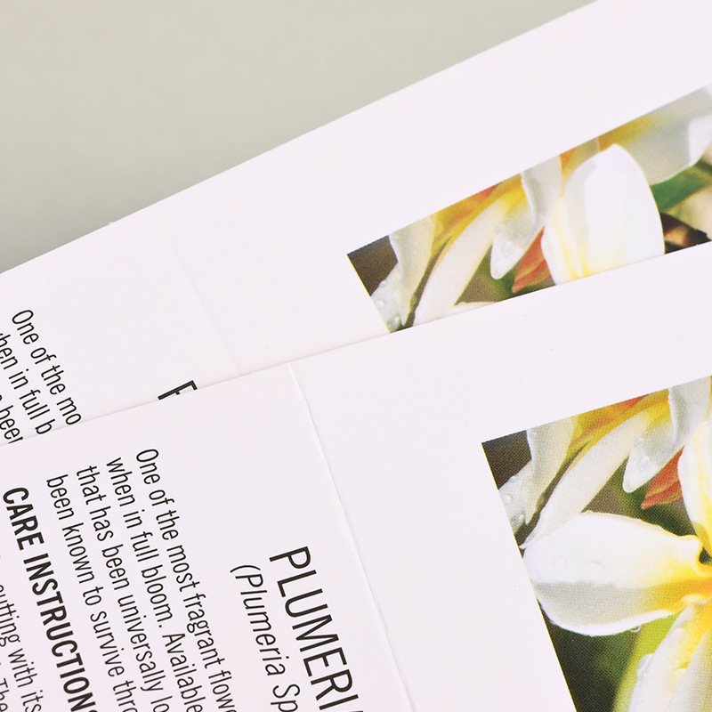Folded paper card packaging, color card paper packaging, card head customization, tag printing, blister paper, pvc card back, airplane paper Application Scenario
