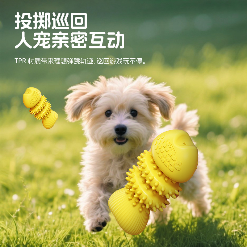 宠物玩具鱼骨头形状狗狗玩具磨牙棒猫狗用品耐咬解闷玩具