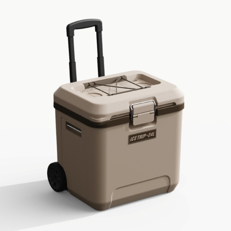 import白底实物图