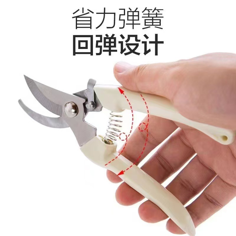 修枝剪实物图