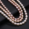 Natural freshwater pearl rice-shaped pearl DIY jewelry accessories, handcrafted jewelry necklaces production and wholesale Item Picture