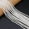 Exquisite natural freshwater pearl rice beads DIY jewelry accessories, handcrafted jewelry necklaces, semi-finished product production and wholesale Application Scenario