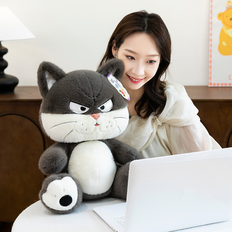 Plush toy cat Crying, Horse Year lantern mascot, cute plush doll Children's Day gift details Picture