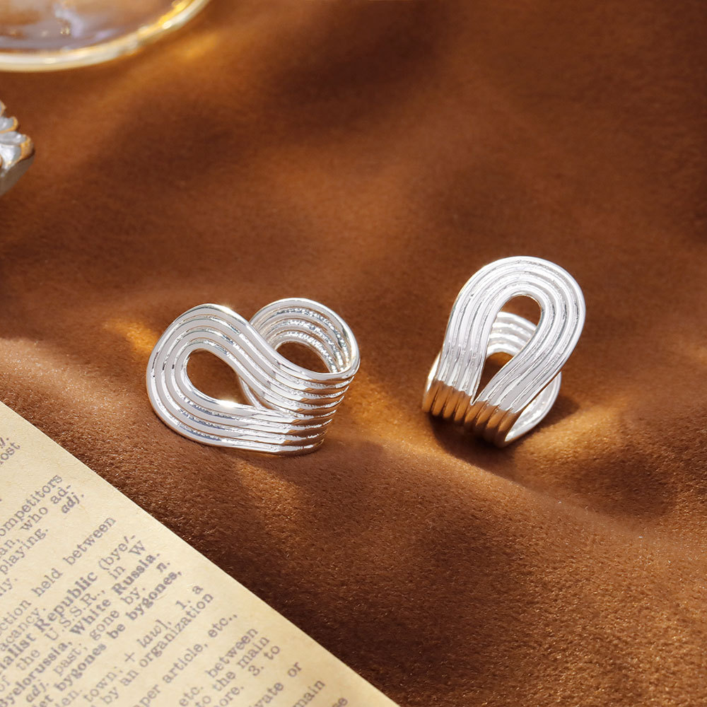 Hyacinth时髦个性港风金属冷淡风耳环2025年新款潮耳饰小众简约气质耳饰品