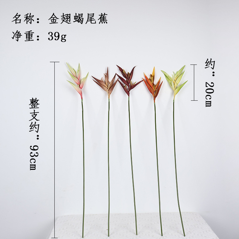 仿真蕨类实物图