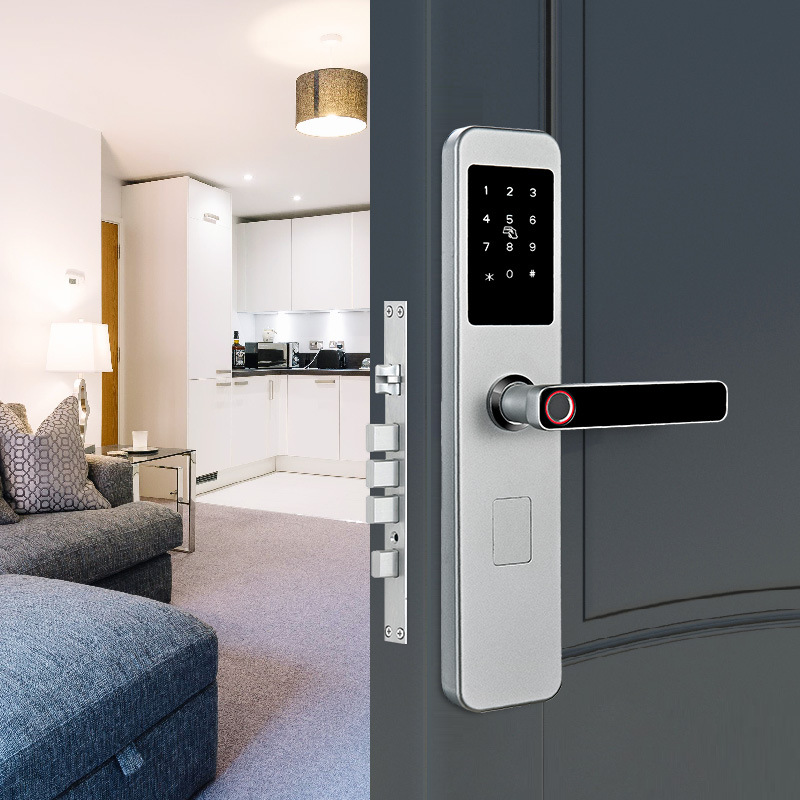 Tongtong Lock Silver and black dual-color smart door lock with facial and fingerprint recognition and blue backlit keyboard Application Scenario