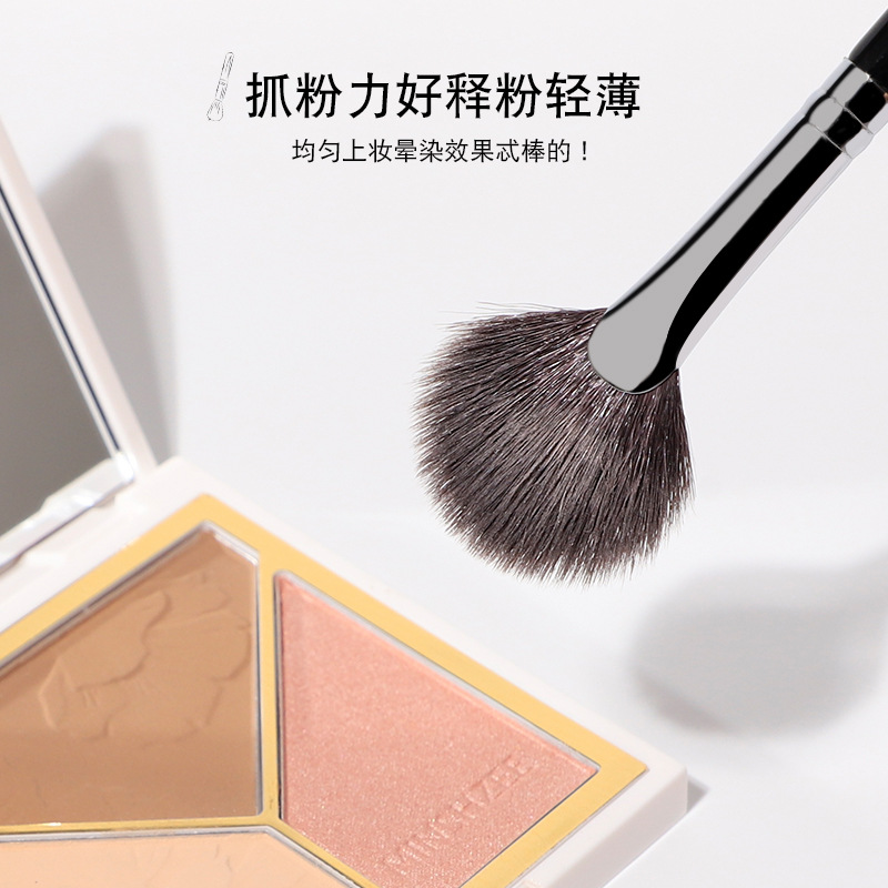 Fan-shaped high-gloss brush with fine light edge wool, super soft contouring shadow brightening brush, one set of makeup brush Application Scenario