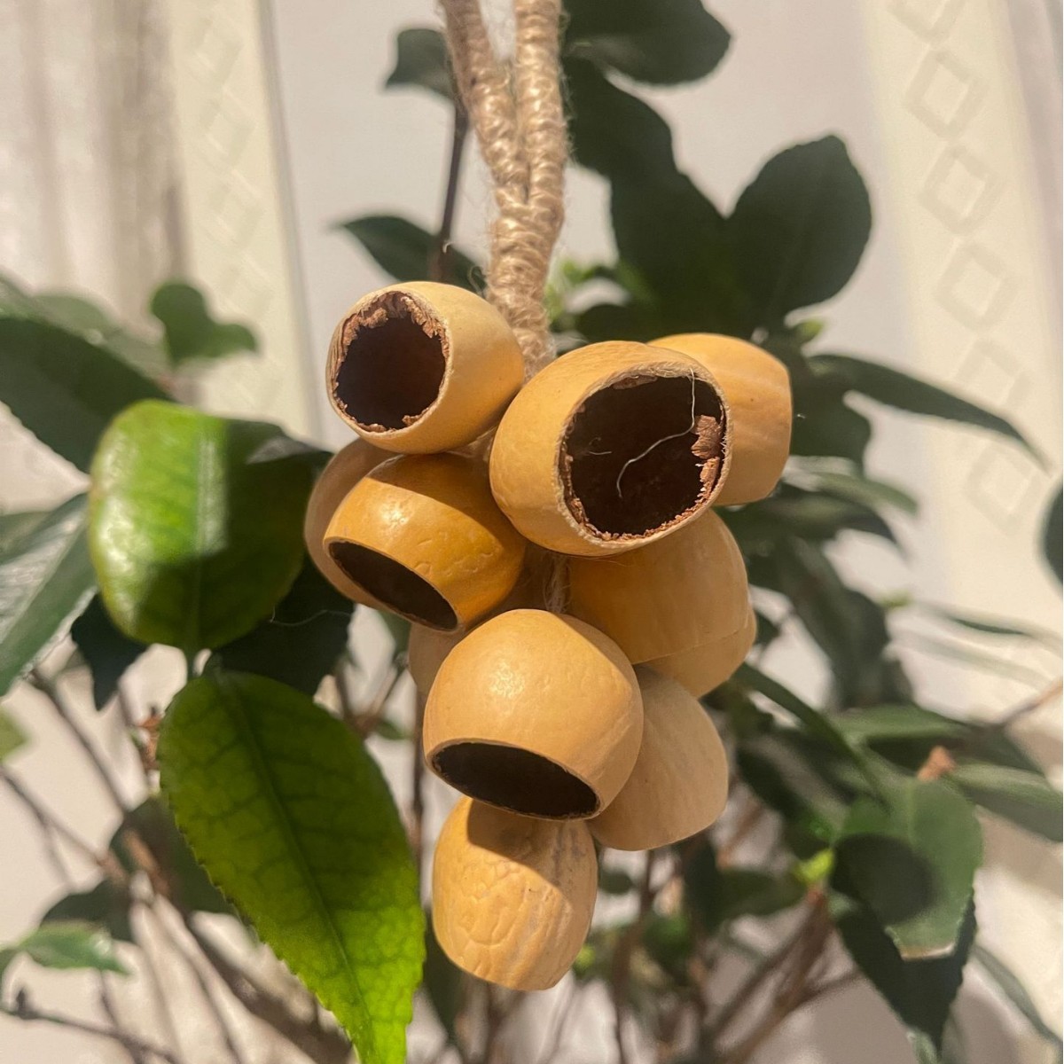 Indonesian fruit shell hand-cranked wind chime string pendant, yoga music accompaniment, fruit shell oleander pendant, birthday gift Specification image