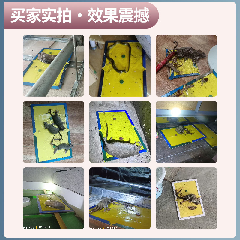 其他分类实物图