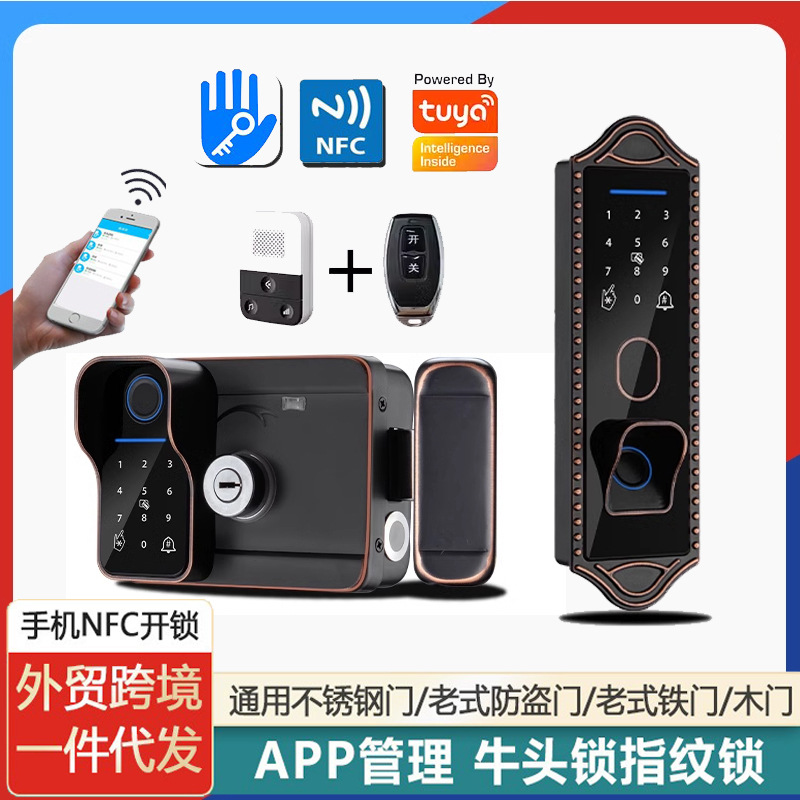 Bull head lock, electronic lock, anti-theft door, courtyard fingerprint lock, apartment iron gate, graffiti all smart lock, old-fashioned combination lock