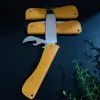 Two-purpose folding knife, multi-functional kitchen, household fruit slicer, fruit knife with bottle opener and bottle screwdriver, 2 yuan supply Specification image