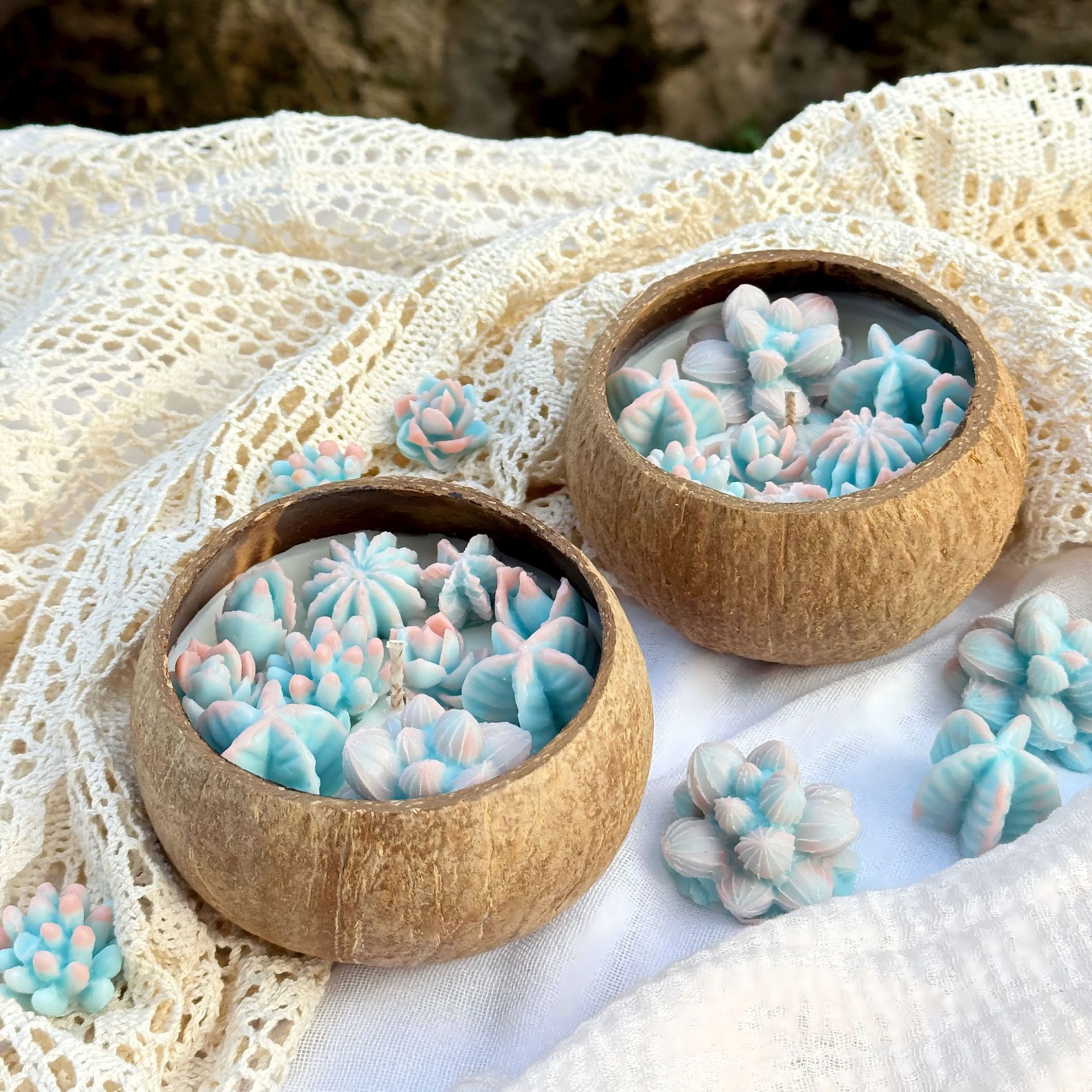 跨境天然椰子壳多肉植物渐变粉蓝纯大豆香薰蜡烛伴手礼创意送朋友