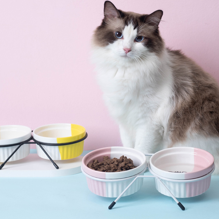 Ceramic double-bowl cat bowl for drinking water, pet cat food, dog and cat food, rice bowl stand, high feet, slanted mouth, neck guard details Picture