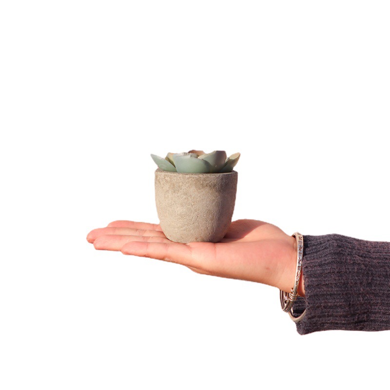 亚马逊室内装饰仿真多肉植物盆栽复古假花盆景家居客厅桌面摆件白底实物图