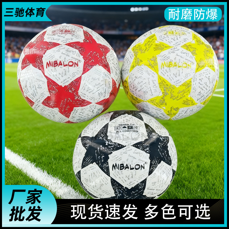 5号PVC机缝现货足球厂家直发足球成人幼儿小孩专业训练玩具儿童