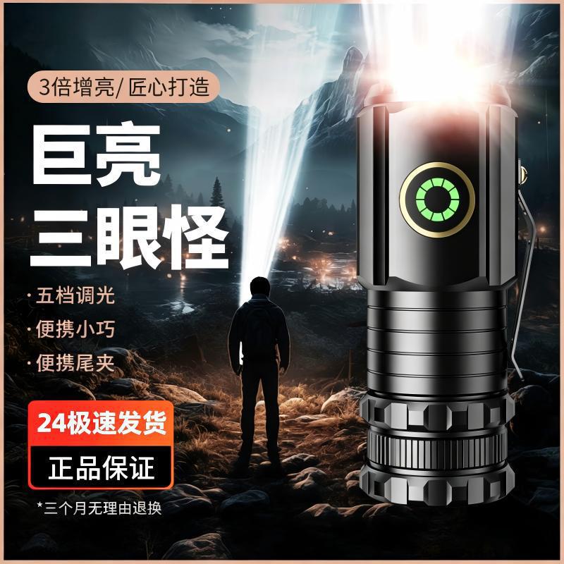 手电筒实物图
