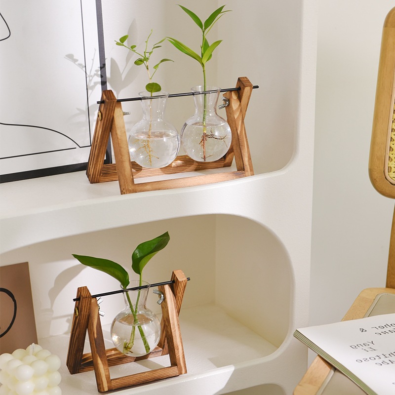 水培植物瓶、生态瓶实物图