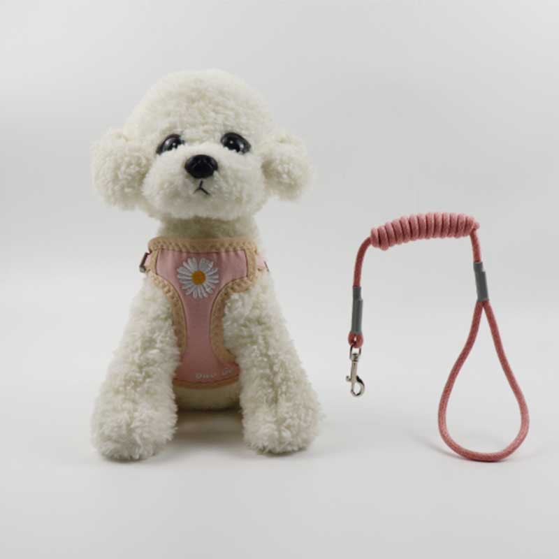 Rongka Pet Cross-border anti-breakaway pet leash Chrysanthemum embroidery Dog Walking out dog chest and back strap Breathable and not tiring neck net bag dog leash supplies Specification image