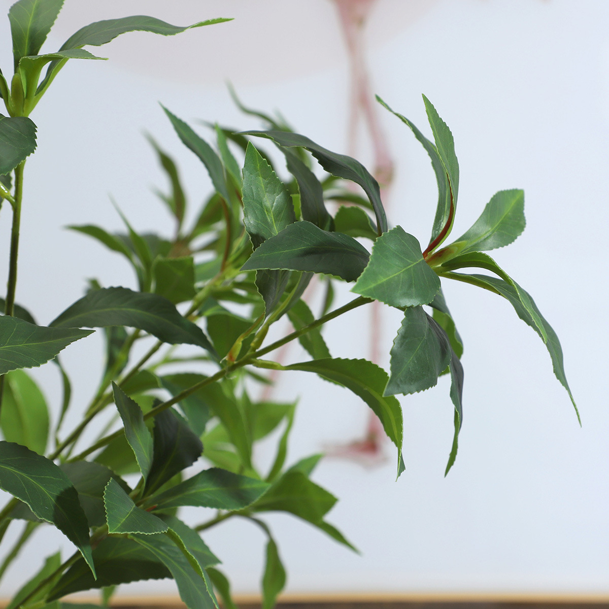 花盆装饰实物图