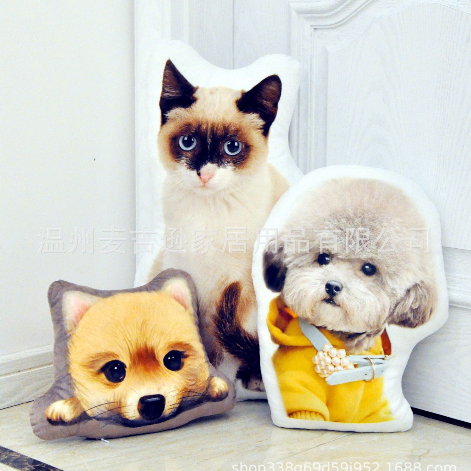 import白底实物图