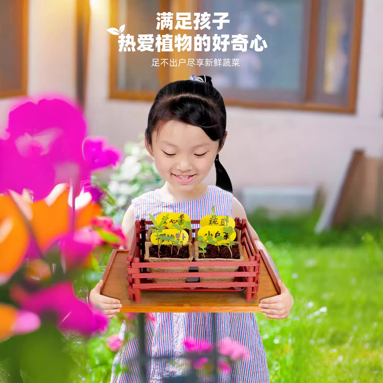 Sunshine Little Vegetable Garden Wooden Science Experiment Set DIY Dragon Boat Planting Science and Technology Small Experiment Toys details Picture