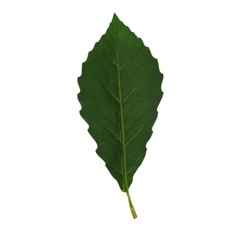 仿真植物树叶人造叶青杠叶绿植假青杠叶道具拍摄假树叶枯树枝叶详情图5