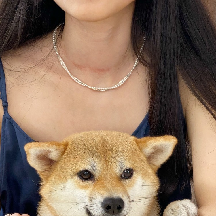 The entire S925 sterling silver Shijia pearl wound necklace features a niche design for women, a neckchain, a collarbone chain, and a light luxury chain Application Scenario