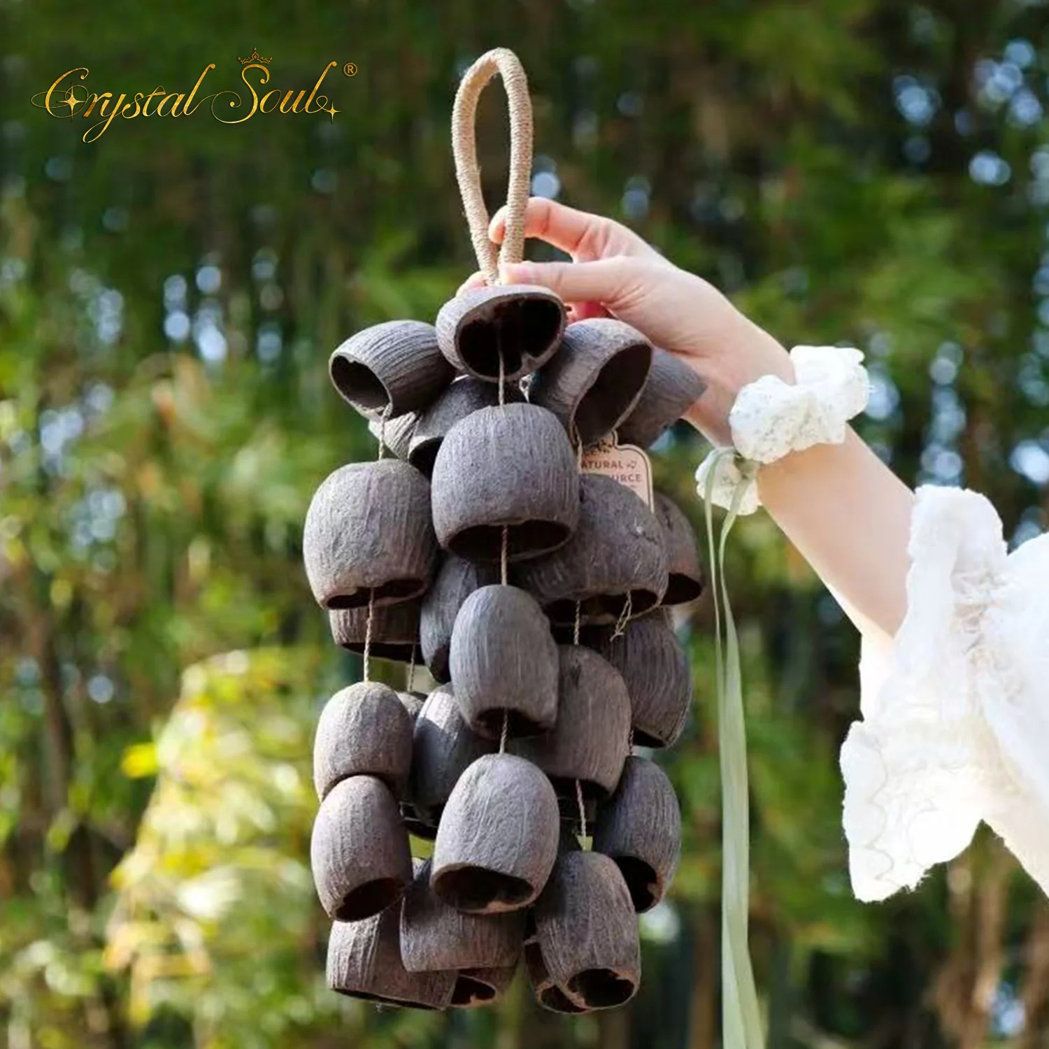 Jingling Fruit Shell Salin Fruit Wind chime, Natural fruit shell car backpack Pendant Bell, Birthday gift Application Scenario