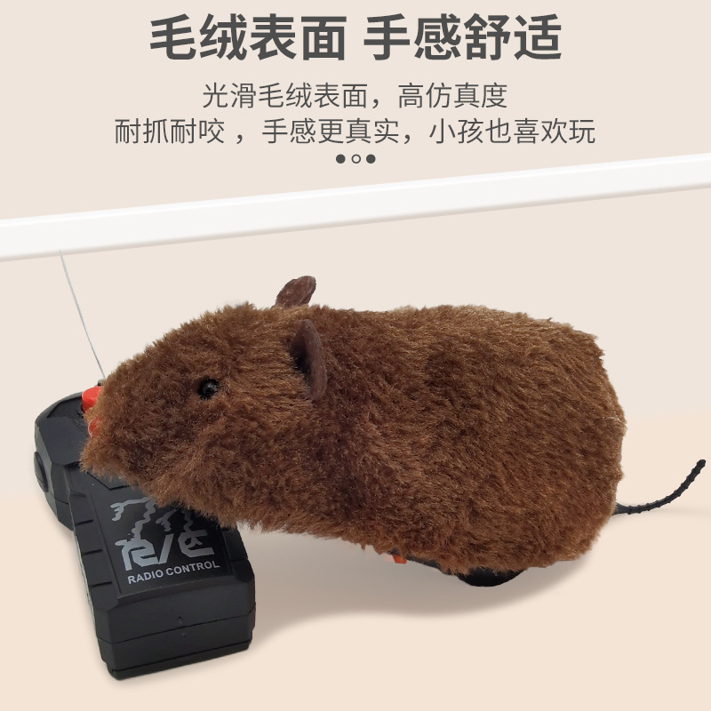 Wholesale of two-in-one remote control plush mice, cats, dogs, pet simulation, colorful mice running away, and cat toys Application Scenario