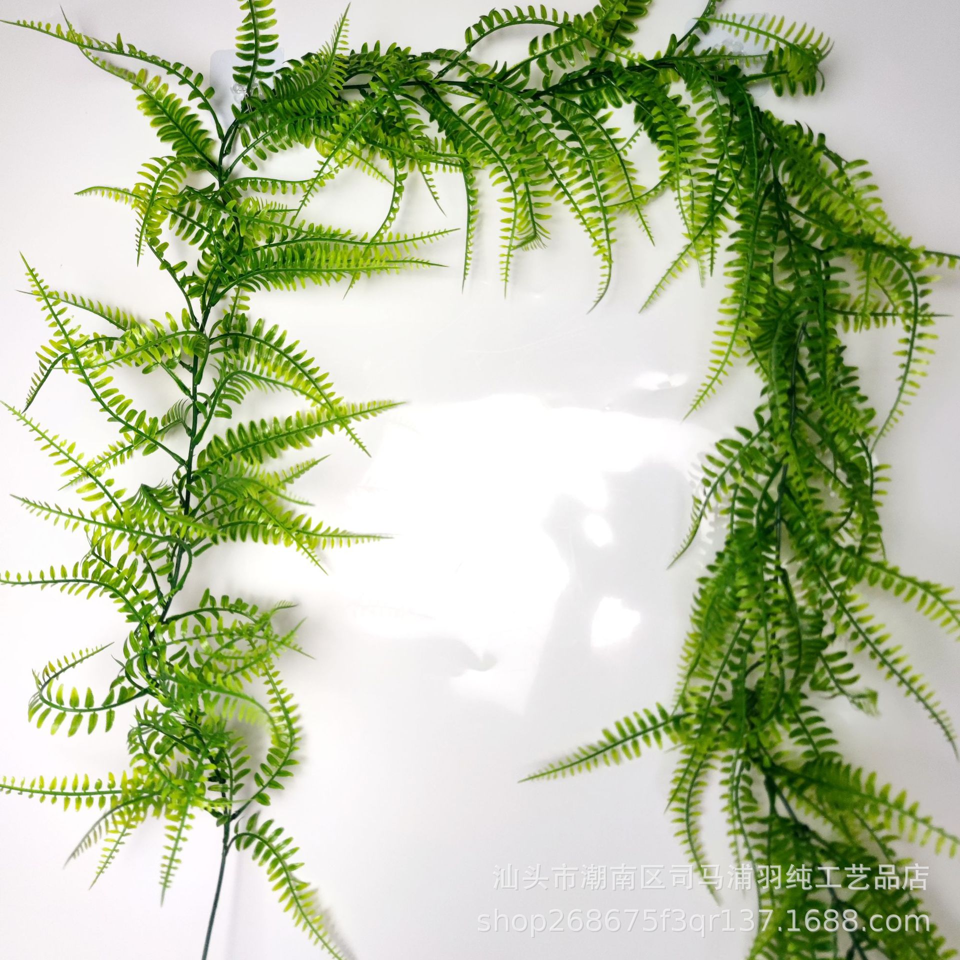 仿真水草藤条蕨类家用造景园艺波斯壁挂工程装饰绿叶花藤仿生